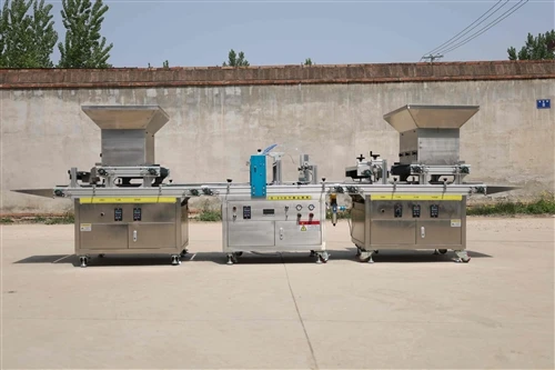 Syringe-type Seedling Raising Machine